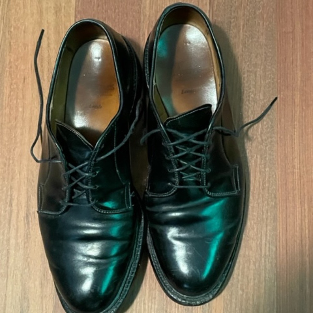 Allen Edmonds  Leeds Black shell cordovan Plain toe blucher - 9E